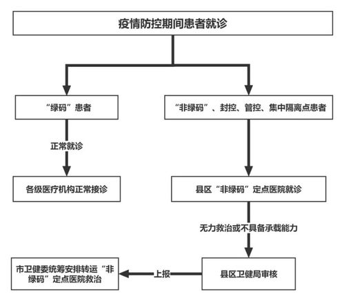 蘭州市疫情防控期間 非綠碼 患者就診流程圖定點醫院及24小時咨詢服務熱線 數據庫及計算機網絡服務